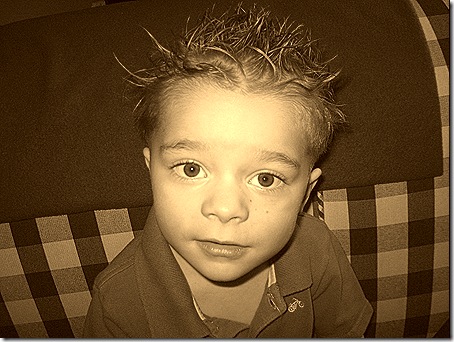 Misc 2009 047