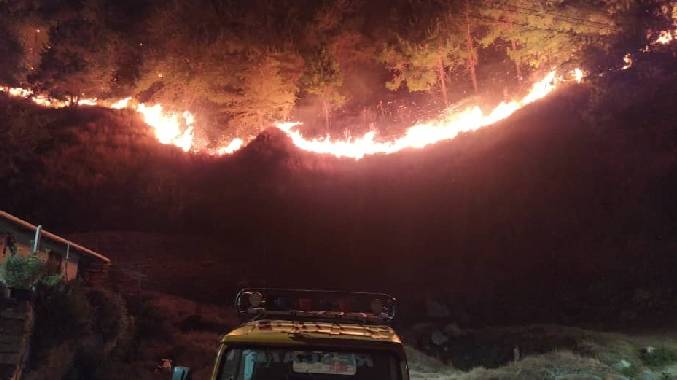Incendios forestales en Mérida afectaron 265 hectáreas