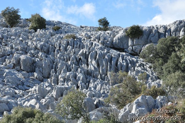 Subida al Pico del Encinar