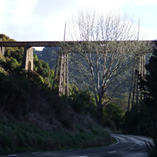 View album