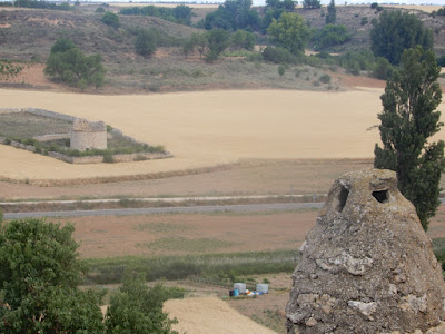 Paisaje de cereal y monte bajo entre arroyos. En primer termino la zarcera de una bodega