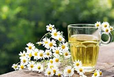  فوائد وأهمية شاى البابونج Chamomile tea  وأهميته للصحه وجمال الشعر