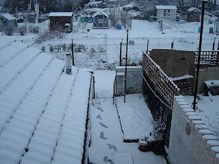 View of plot from house.