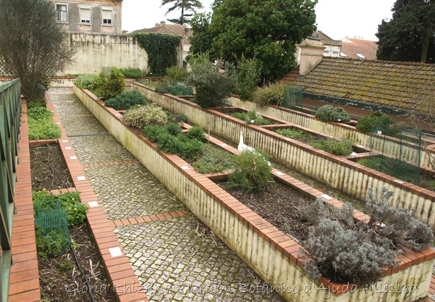 Glória Ishizaka - Jardim Botânico Ajuda - 79