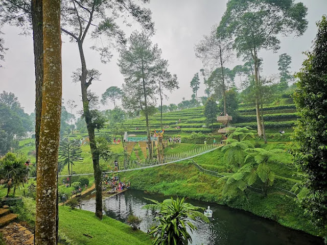 Kebun Teh Pagilaran