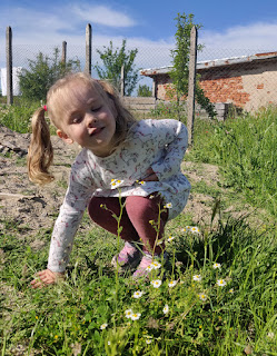 Rosie with some daisies