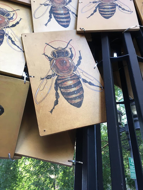 pictures of honey bees