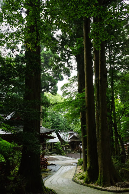 冨士浅間神社（静岡）の裏参道