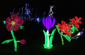 Pic of colourful Chinese flower lanterns