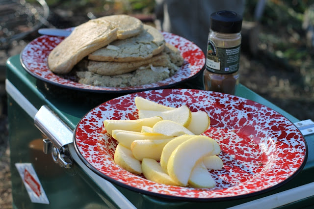 Gluten-free oatmeal pancakes with apples and cinna-nom