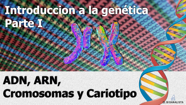 introducción a la genética parte 1 fisiopatología bioanalisis UC