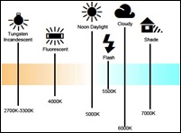 White Balance Temperatures