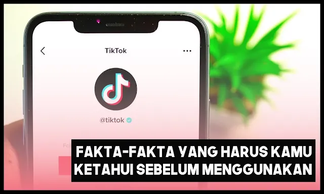 fakta TikTok yang harus kamu tahu