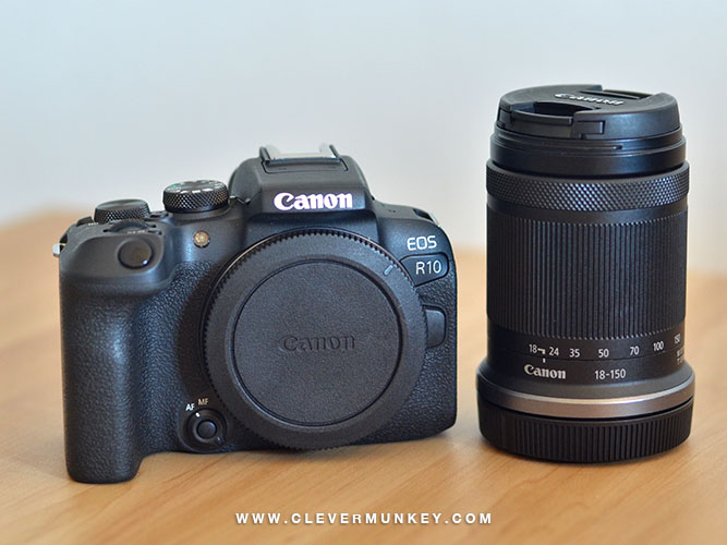 Canon EOS R10 Mirrorless Camera Review: A Camera for Photography Beginners