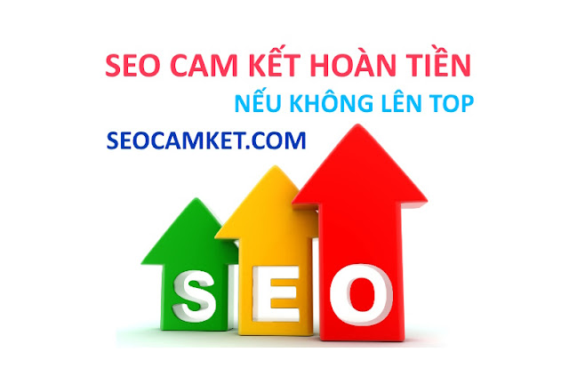 dịch vụ seo cam kết