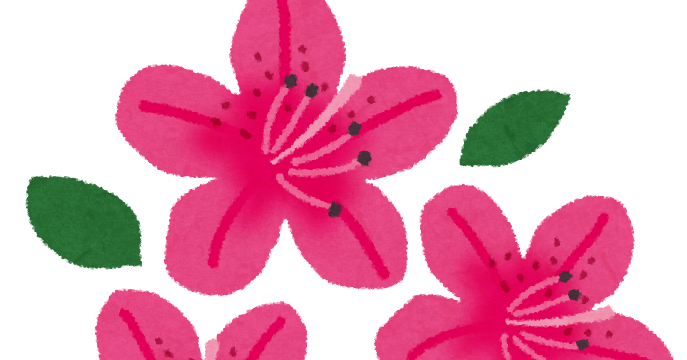 ツツジのイラスト 花 かわいいフリー素材集 いらすとや ツツジのイラスト 花 かわいいフリー素材集 いらすとや