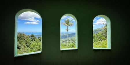 Three windows from inside a tower. One frames a palm tree.