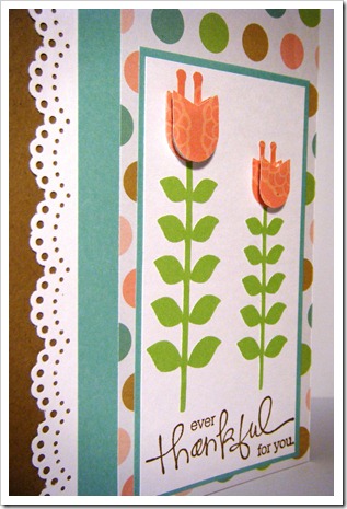 tall tulip thanks 3