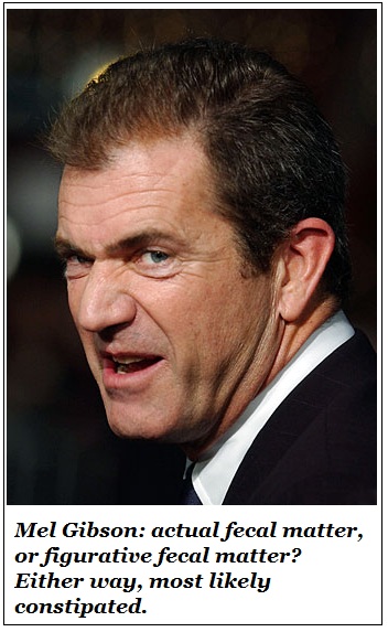 mel gibson crazy face. hair Mel Gibson mel gibson