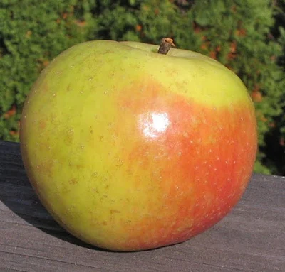 Pale yellow apple with small pink blush