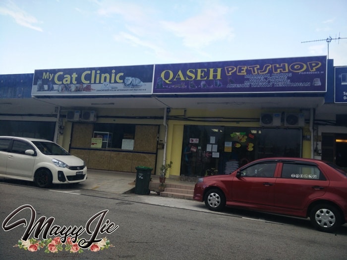 Cat Clinic @ Qaseh Petshop Kulim