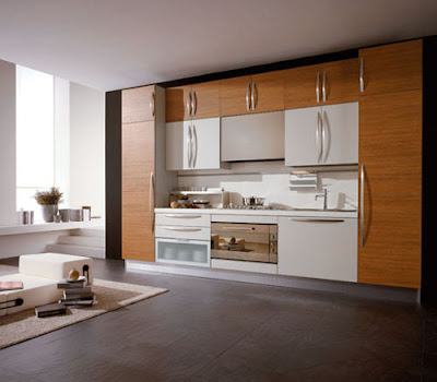 Modern Italian Kitchen Decor