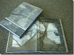 P1000006