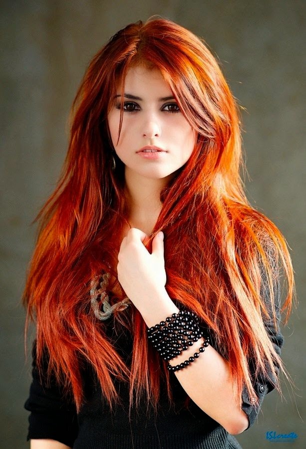 hairstyles for long hair 2014.