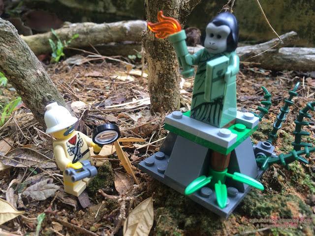 Planet of the Apes (Lego)