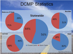 graphic: Disaster Case Management Program Statistics