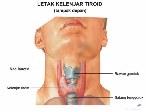 Penyebab Ubanan Pada Usia Muda 6