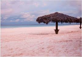 pink beach bahama