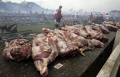 Worlds Largest Barbecue World Record