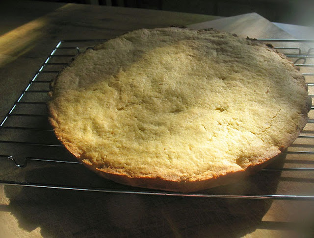 Italian cornmeal shortbread