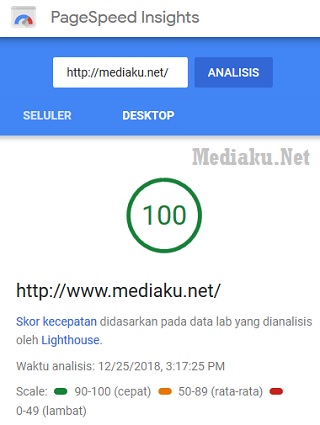 Cek Skor PageSpeed Insight