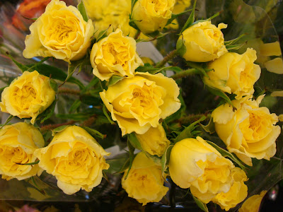 bouquet yellow roses dsc00909