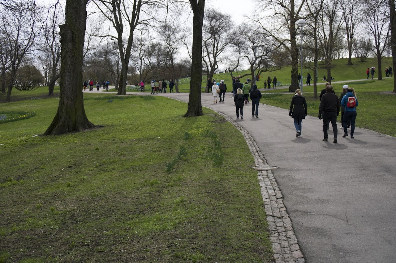 天文台公園（Tähtitorninvuoren puisto）