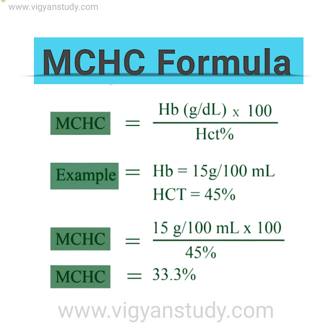 MCHC blood test in hindi
