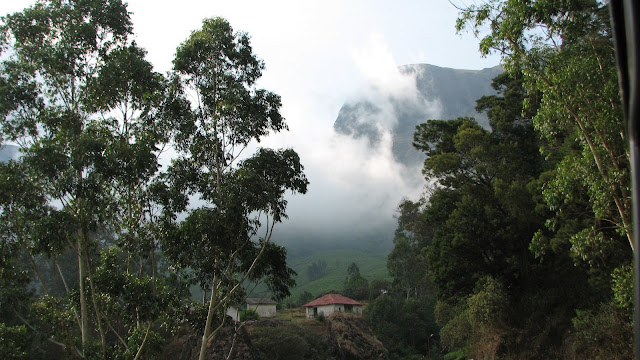 Hills of Munnar