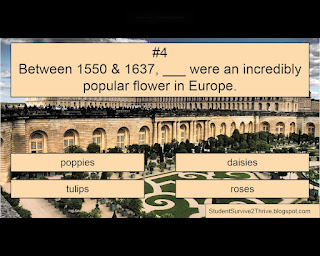 Between 1550 & 1637, ___ were an incredibly popular flower in Europe. Answer choices include: poppies, daisies, tulips, roses