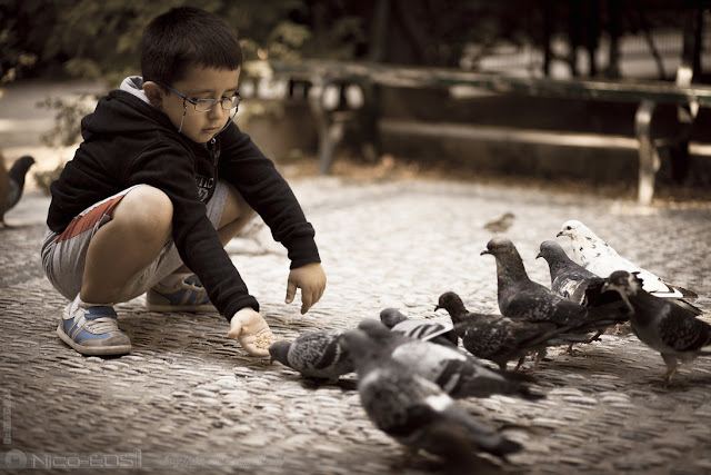 Feeding The Birds