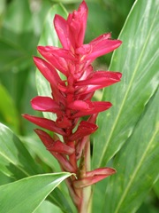 P3250172