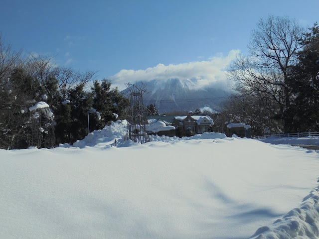 大山ヒルズの中からの眺め