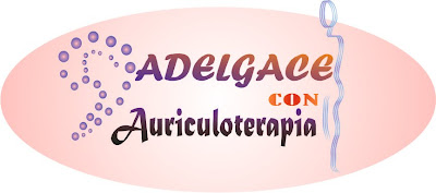 ADELGACE CON AURICULOTERAPIA