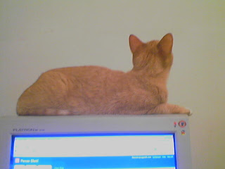 Snarf no monitor