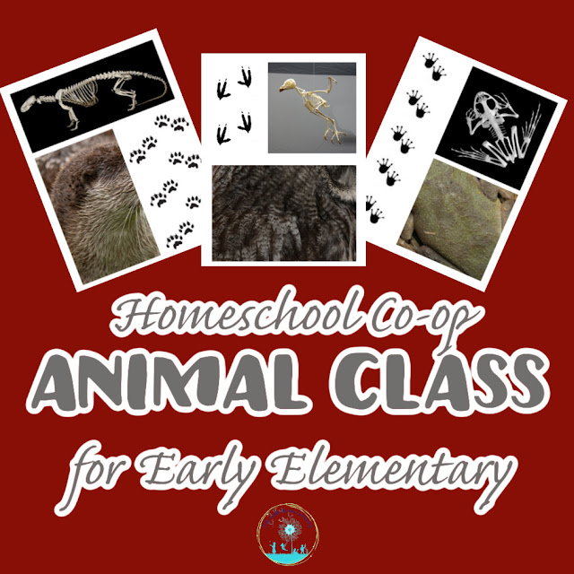 Put together a fun book-based, hands-on animal class for your homeschool co-op with these great ideas.