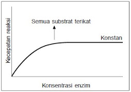 Grafik Hubungan Enzim dengan Konsentrasi Enzim