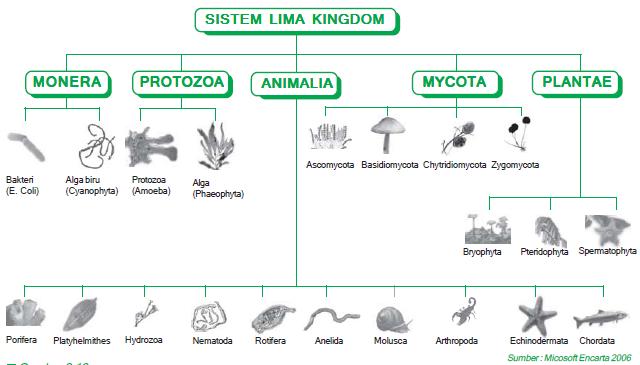 Rendialdianx2 "BIOLOGI"