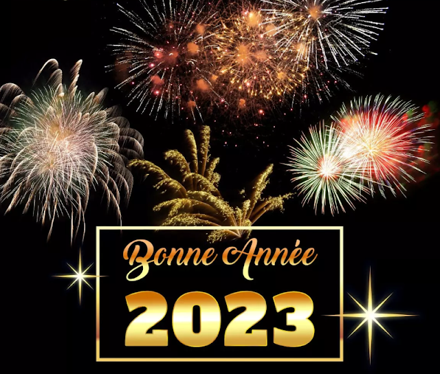 image bonne année 2023 humour gratuite