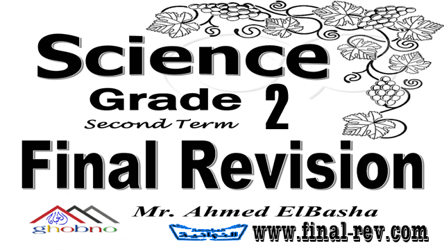 المراجعة النهائية ساينس للصف الثاني الإعدادي science ترم تانى2023 مستر أحمد الباشا